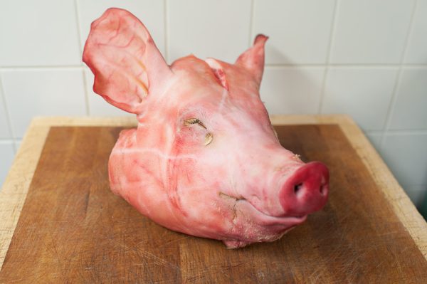 Frozen Pork Snout