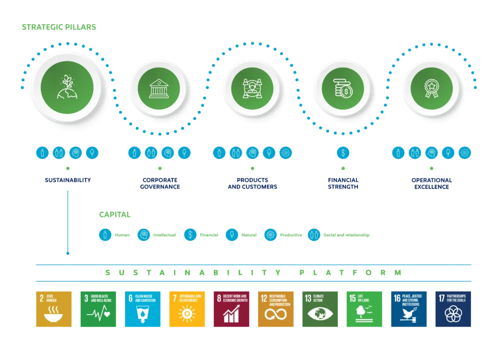 Sustainability Platforms - Strategic Pillars (1)